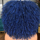 Kinky Curly Hair Afro Synthetic Wig (Indigo)