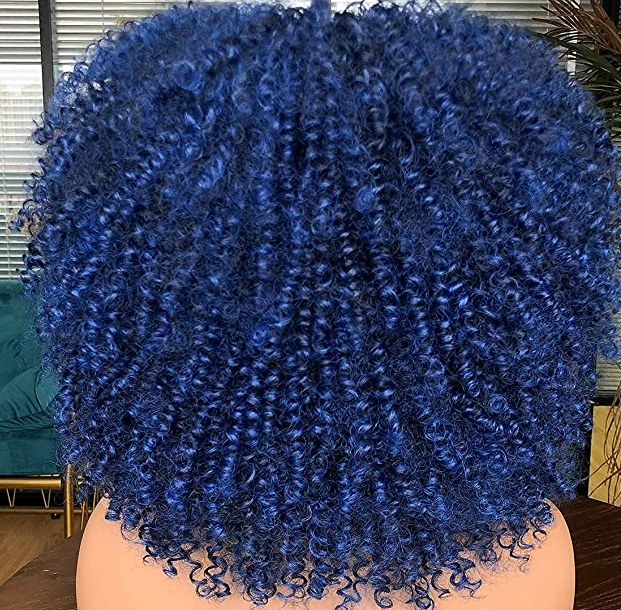 Kinky Curly Hair Afro Synthetic Wig (Indigo)